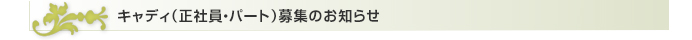 LfB(ЈEp[g)Ŵm点